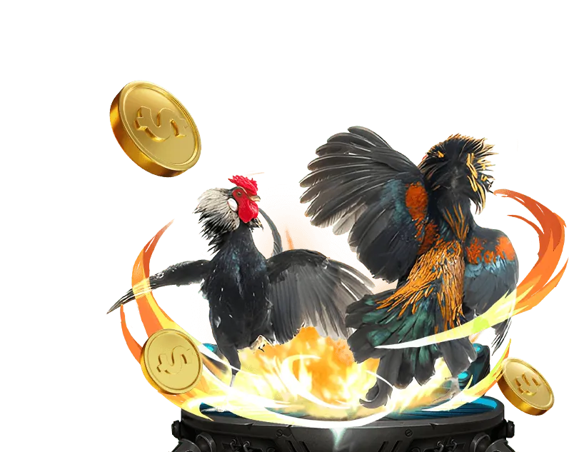 Cá cược thể thao 5net