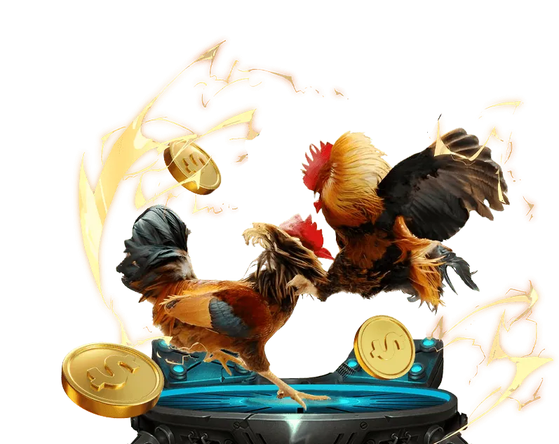 Đá gà trực tuyến 5net